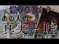 【耳を塞ぎたい/恋愛/リアル⏳️】あの人のあなたへの真実と嘘、あなたへの紛れもない本音