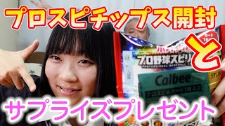 プロライターチップス 第2弾 SPSP - メルカリ
