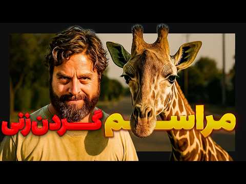 زرافه ها از مهربان ترین تا خشن ترین گیاه خوار