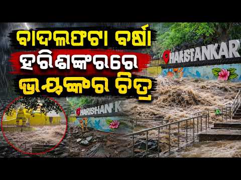ହରିଶଙ୍କରରେ ଭୟଙ୍କର ଚିତ୍ର... | Cloudburst In Harishankar | Odisha Flood | Argus News