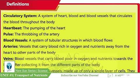 NSS Grade 07 Science Chapter 02 Part 02