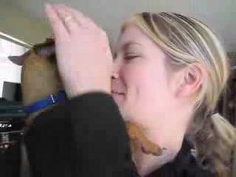 Charlotte Martin — Charlotte Martin video BLOG - Something Like a DVD