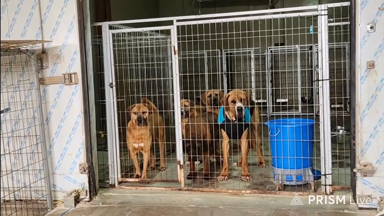 어독이마을에서