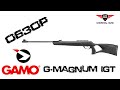Пневматическая винтовка GAMO G-MAGNUM 1250 IGT (с газовой пружиной)