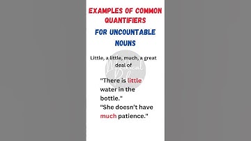 "Examples of Quantifiers for Uncountable Nouns: Grammar Made Easy"