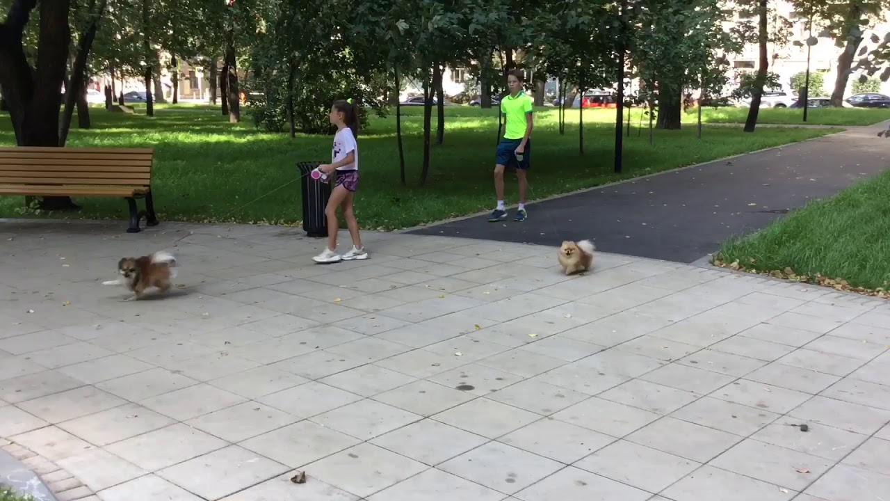 Москва. Ростокино. Обновлённый сквер Бажова - улица Бажова. - YouTube
