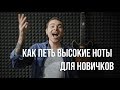 Как петь высокие ноты новичкам.