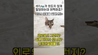 ISTJ🤖에게 다가가면 도망가고 가만히 있으면 다가오는데 어떡하죠? | ‘율리몰리’ 님 제보 | 잇티제월드