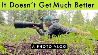 If This Doesn't Make You Smile, Then You Need An Attitude Adjustment - Wildlife Photography Vlog