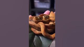 So stinking cute !!!!