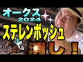 【オークス2024】テンハッピーローズでヴィクトリアマイル撃破！の太組不二雄が馬群マスターでステレンボッシュ消します！