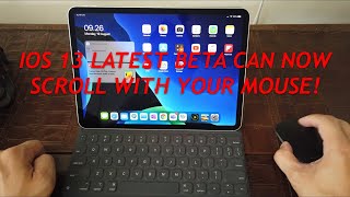 iOS 13.4: How to Scroll with a compatible and supported mouse on iPad Pro 11