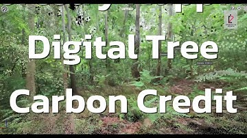 ตัวอย่างข้อมูลการสำรวจป่า ด้วย OmniSLAM R8+