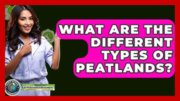 What Are The Different Types Of Peatlands? - Earth Science Answers