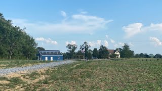 Man arrested after firing at gas cans