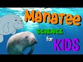 Manatees: Gentle Giants of the Water
