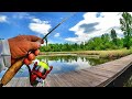 Bluegill Bed Fishing! How To Find Bluegill Beds