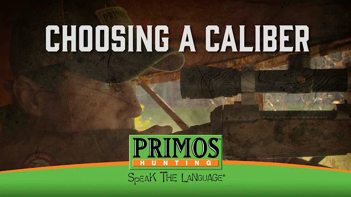 How to Pick a Rifle Caliber for Deer Hunting