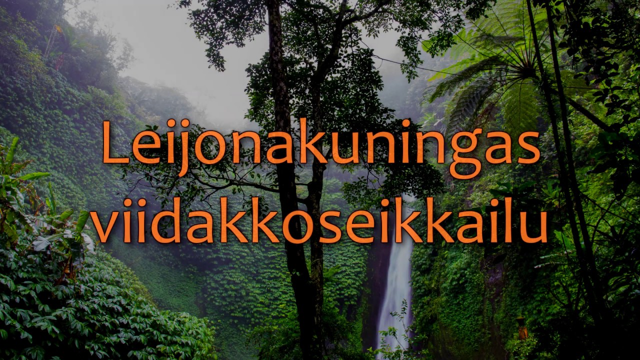 🌠 Lapsille - Leijonakuningas viidakkoseikkailu