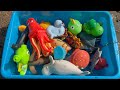 Finding sea animal toys on the shoreline