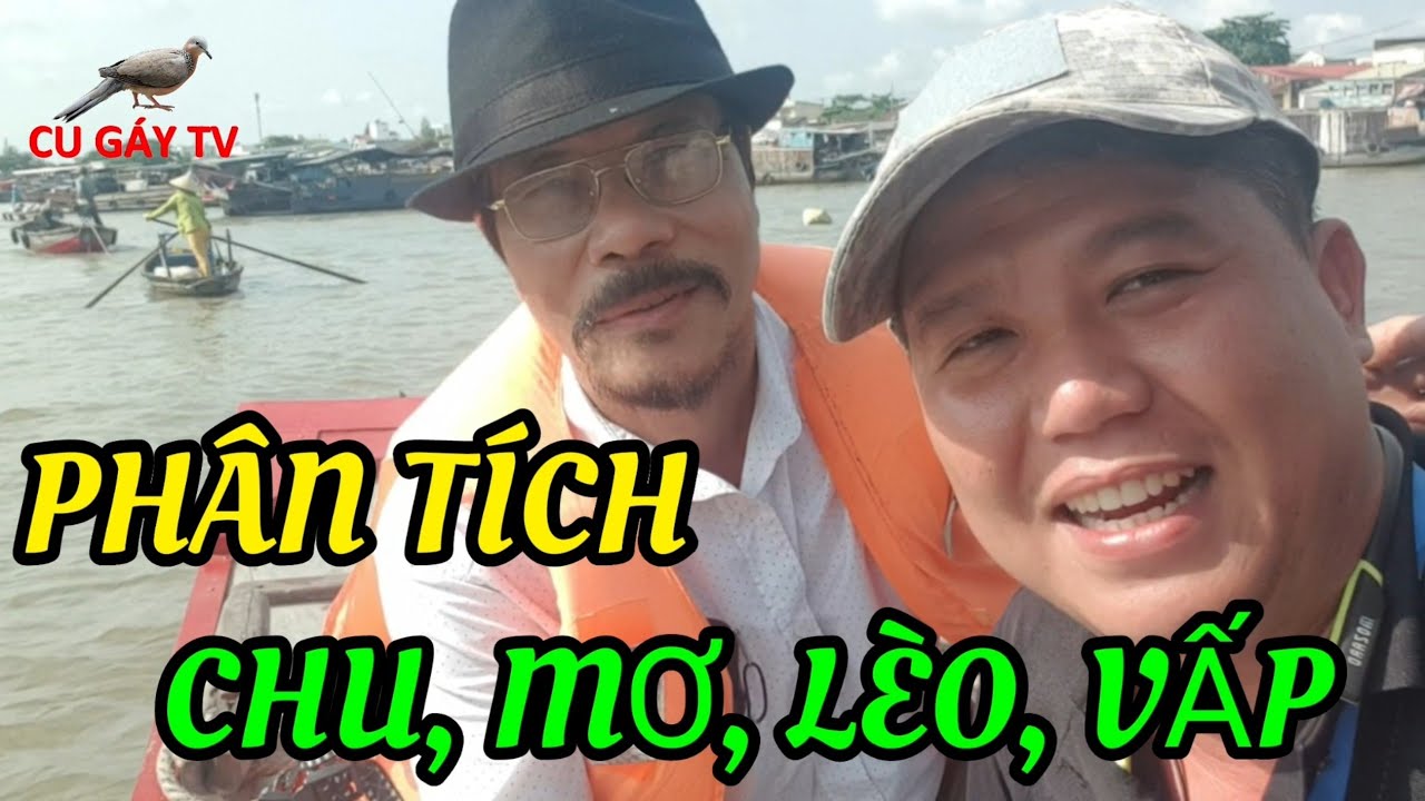 Bài Lối Chim Cu Miền Bắc - Chia Sẽ Của Bác Nghinh - Hiệp Hòa - Bắc Giang.