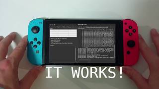 Running a Minecraft server on a Nintendo Switch! (SwitchRoot)