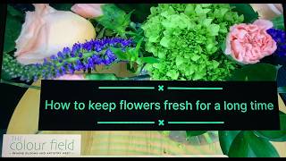 How to keep flowers fresh a long time | 4 Florist Tips for longer lasting arrangements
