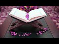 102 سورة التكاثر سعد الغامدي بدون إعلانات 102 سورة التكاثر سعد الغامدي بدون إعلانات