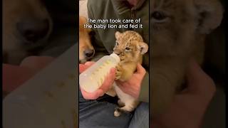 The Man Who Rescued A Baby Lion