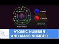 Atomic Number Mass Number 