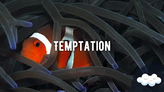 Jess Bays & Poppy Baskcomb - Temptation (Lyrics) Resimi