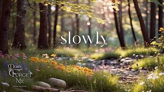 Download lagu It Doesn’t Matter How Slowly You Go 🌲🌸 Quiet Guitar for Focus & Overthinking