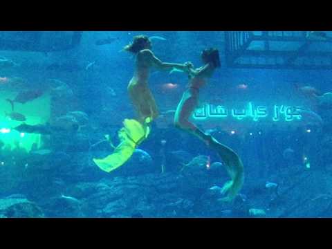 Video: Oceanarium Dubai Mallissa: kuvaus, ominaisuudet, mielenkiintoisia faktoja ja arvosteluja