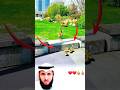 سبحان الله شاهد كيف أرشدت هذه الأم صغارها للطريق الأسهل سبحان الله اكسبلور لايك 