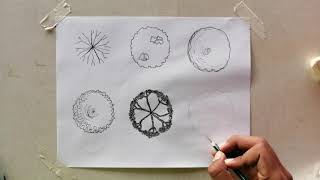 How to draw trees in plan