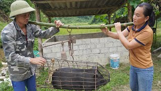 Sell Big Pigs and Buy Small Pigs To Raise - Harvest Bamboo Tree to Trellises For Climbing Vegetables