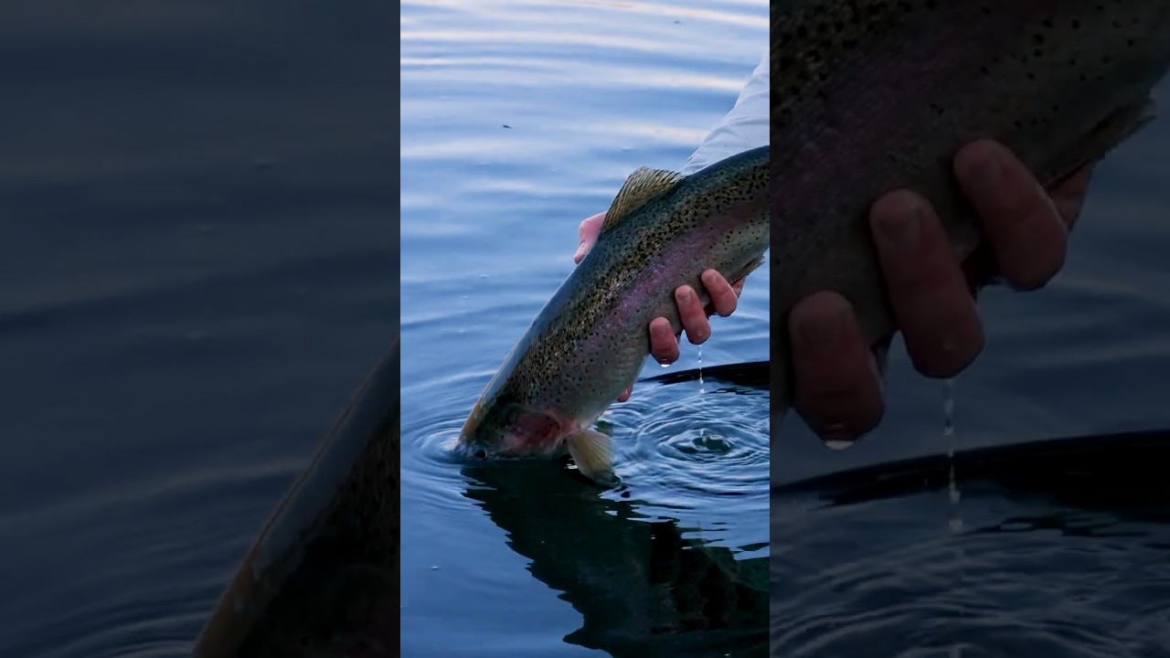 The Secret Behind Fall Fly Fishing Success