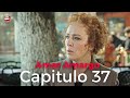 Amor Amargo - Capitulo 37