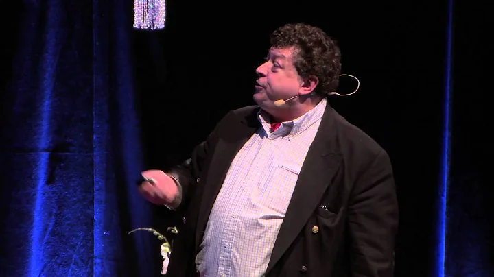 TEDxWWF - Rory Sutherland: The New Sweet Spot - An...