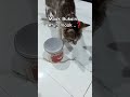 Mau Cemilan ya nak #cutecatshort #catfunny #catyoutube