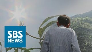 '숨 막히는 더위' 27명 열사병 사망…7년 만에 최다 / SBS