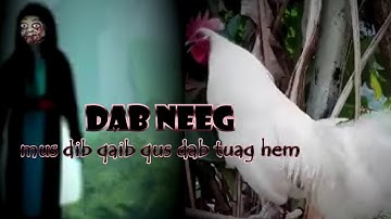 DAB NEEG mus dib qaib qus pom poj ntxoog thiab dab tuag hem