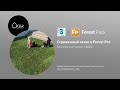 Создание стриженного газона в Forest Pro и 3d max