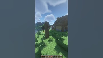 Simple But Decorative Signs in Minecraft #shorts