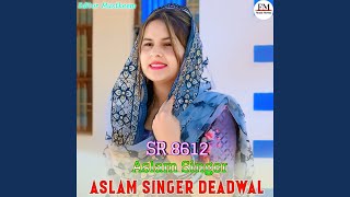 Aslam Singer SR 8612