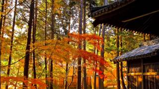 【勉強用BGM】素晴らしい音楽で作業に集中【θ波】