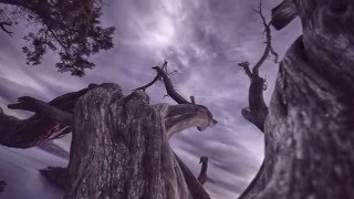 Through The Morning Mist - Puneet Gabriel, Ft. Jake Charkey