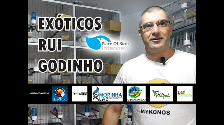 RUI GODINHO - CRIADOR DE DIAMANTES GOULD!