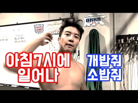 [아침운동]아침7시에 일어나 개밥줘 소밥줘(크로스핏, 데일리와드)