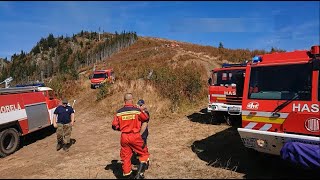 Požiar lesa nad Polomkou DHZ Závadka n/Hr. 13.8.-19.8.2018